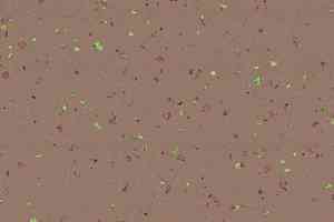 Линолеум Taralay Premium Indiana 8059 Nicobar фото  | FLOORDEALER